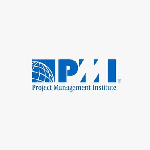 Института управления проектами pmi